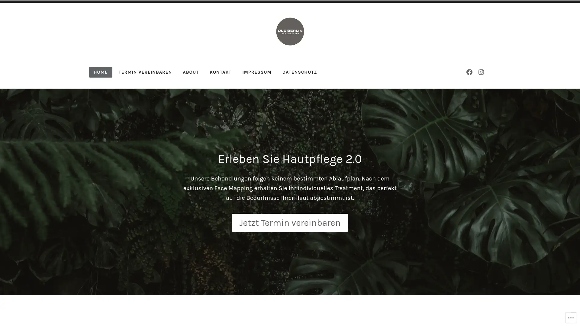 oleberlin.com screenshot