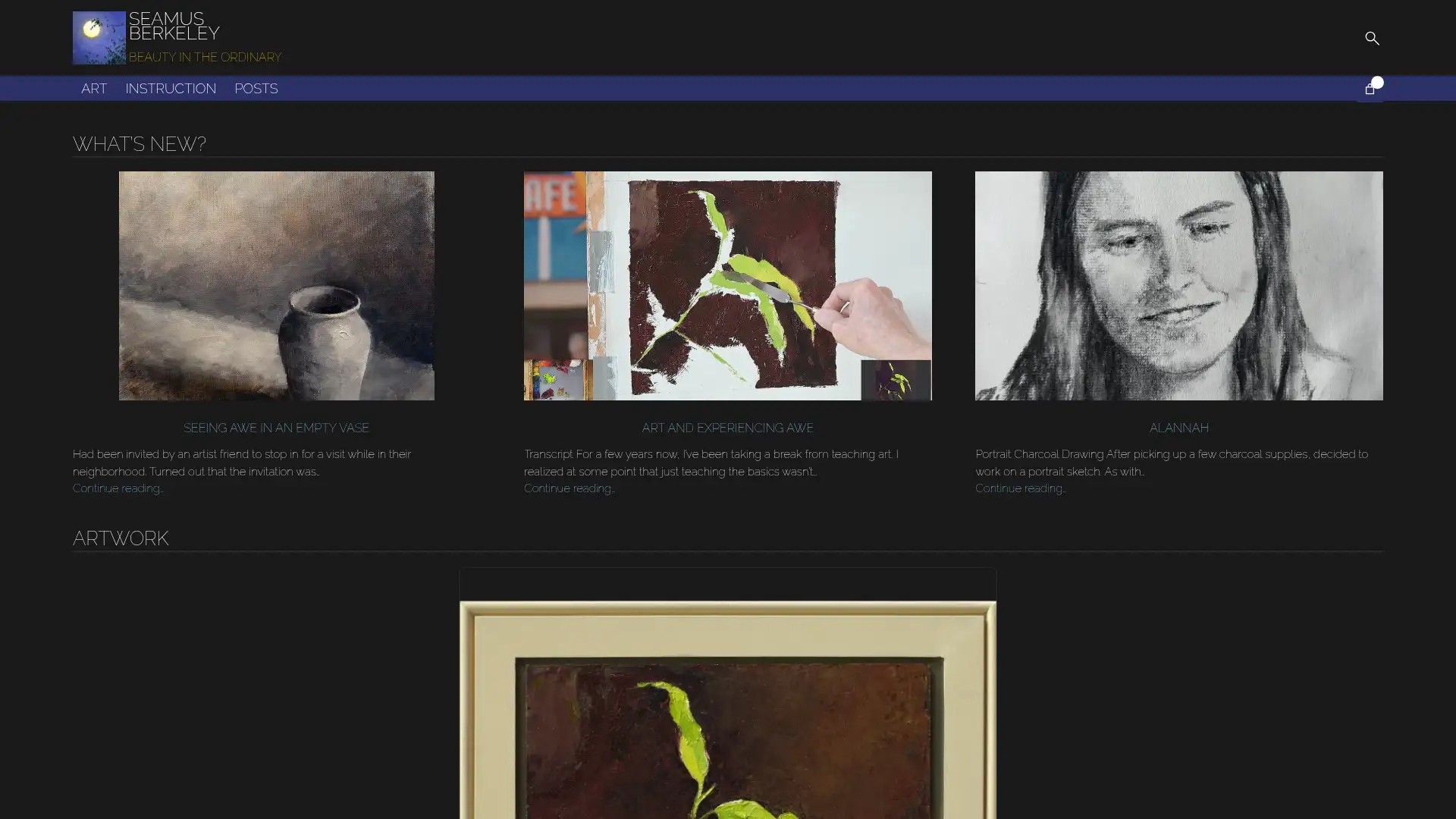 seamusberkeley.com screenshot