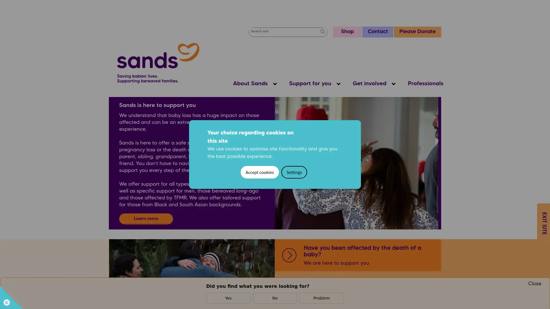 sands.org.uk screenshot