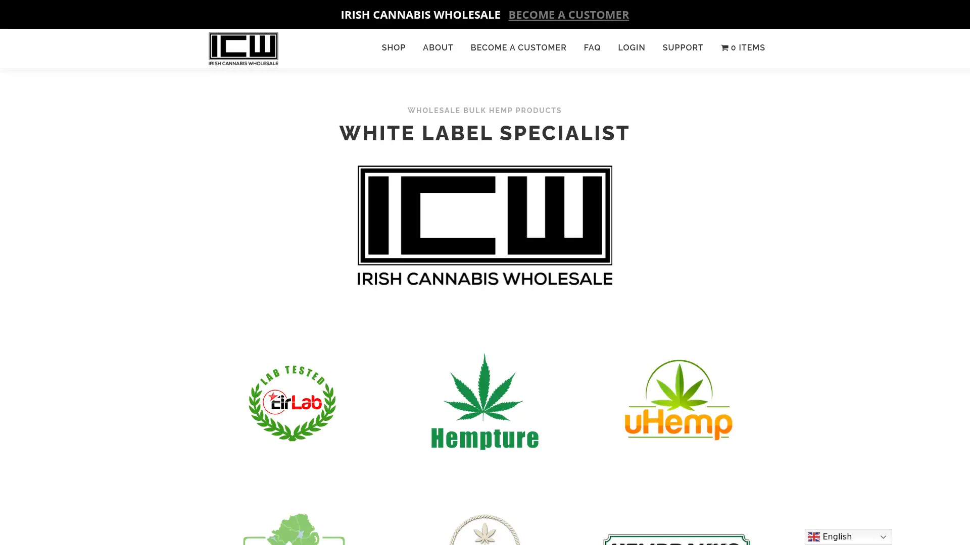 icw.ie screenshot