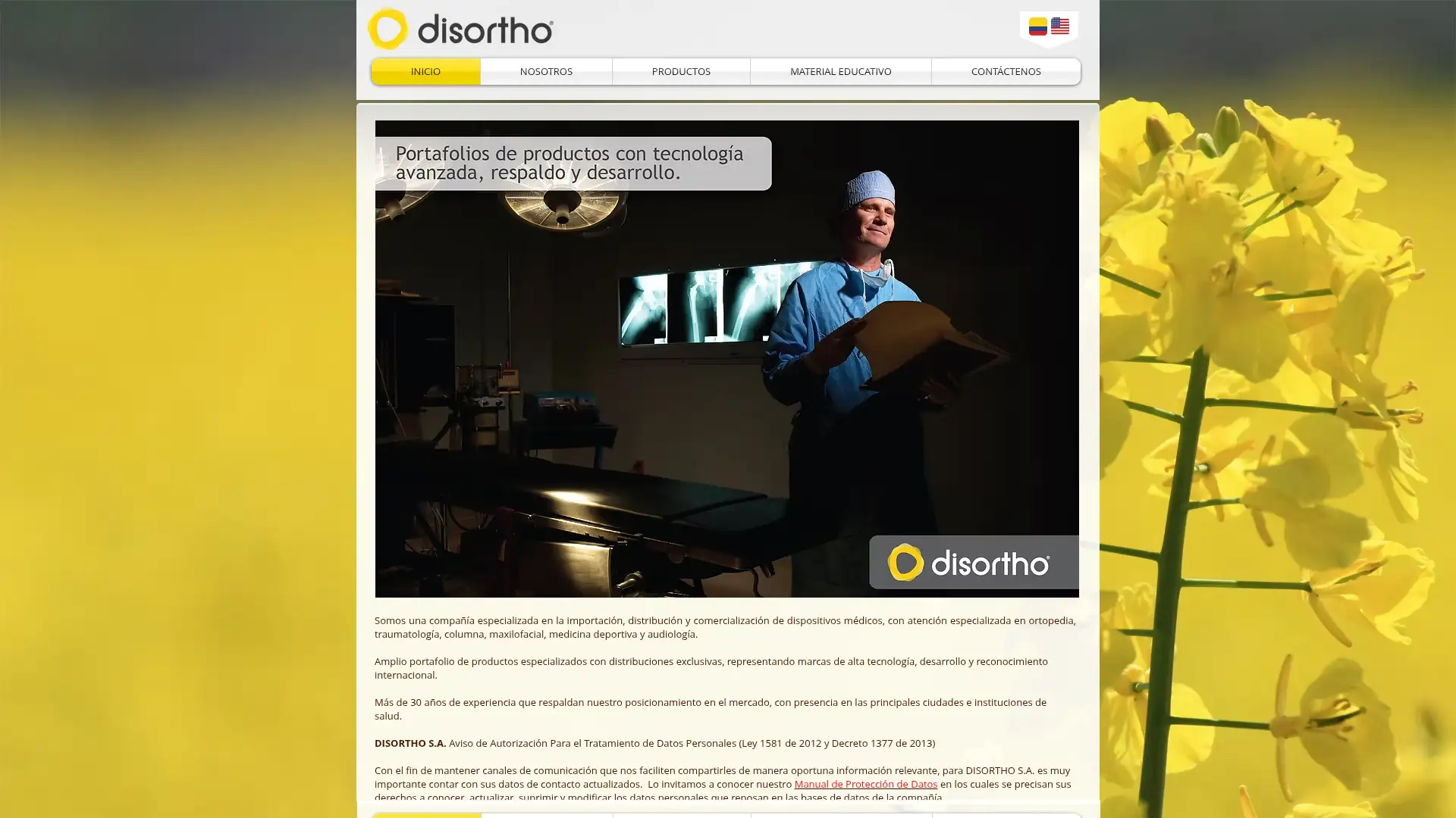 disortho.co screenshot