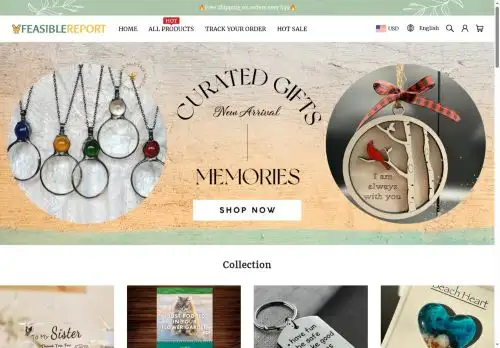 feasiblereport.com screenshot