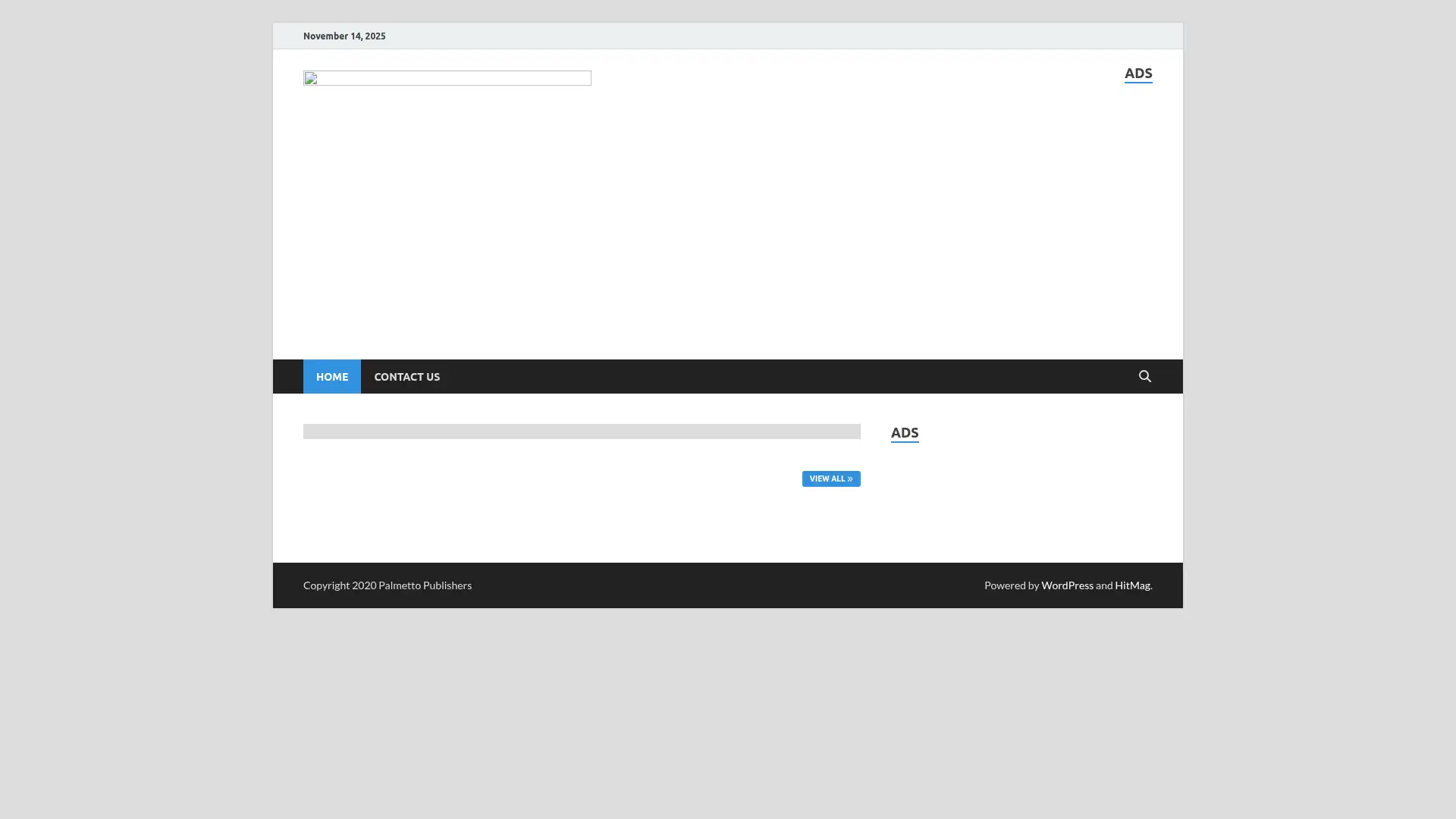 palmettopublishers.com screenshot