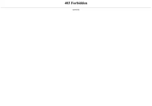 programsalecycle.cyou screenshot