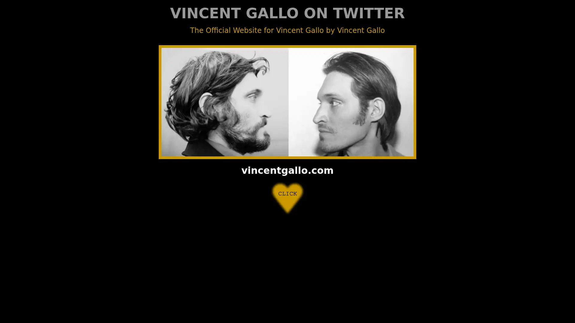 vincentgallo.com screenshot