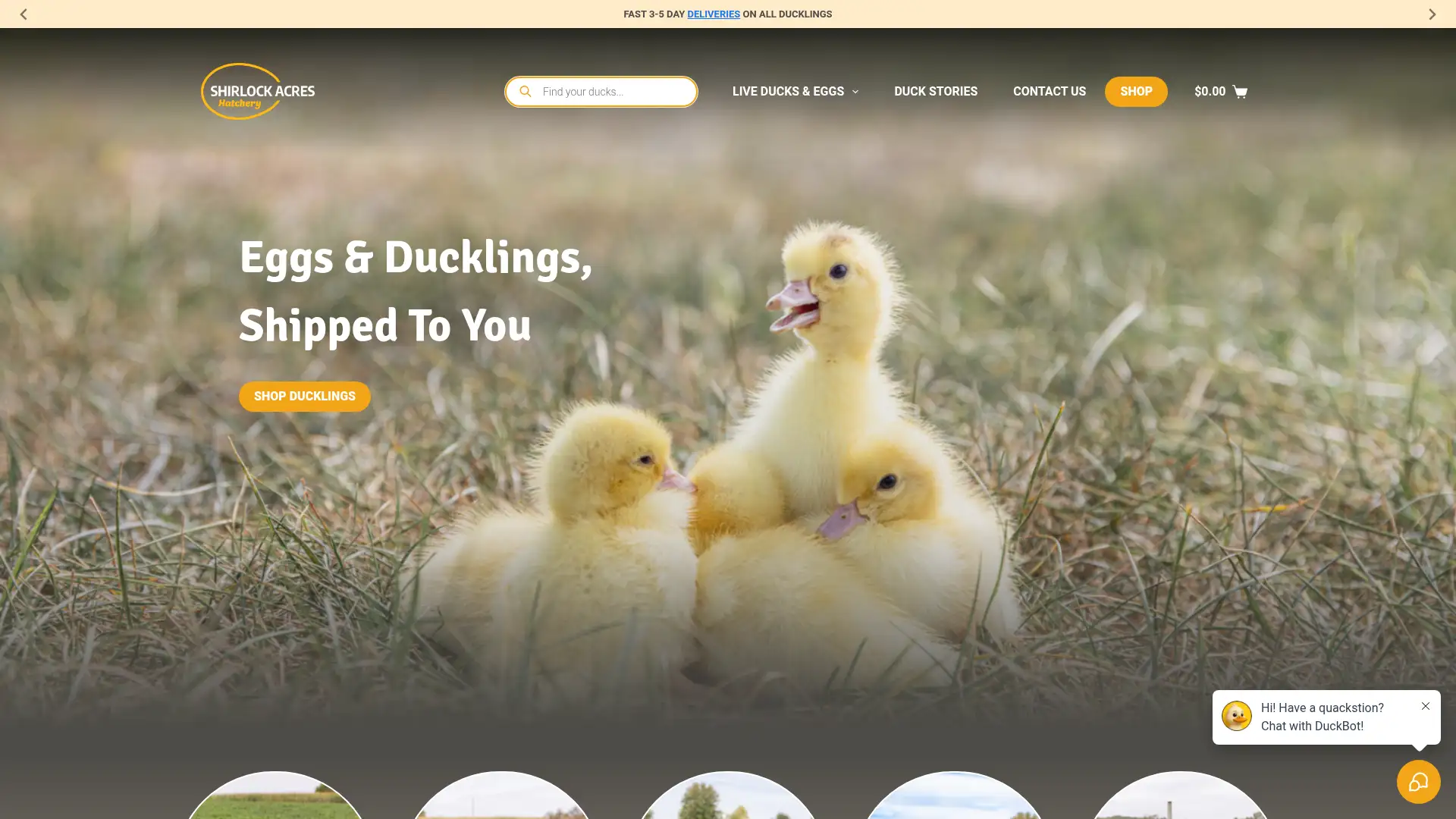 shirlockacres.com screenshot