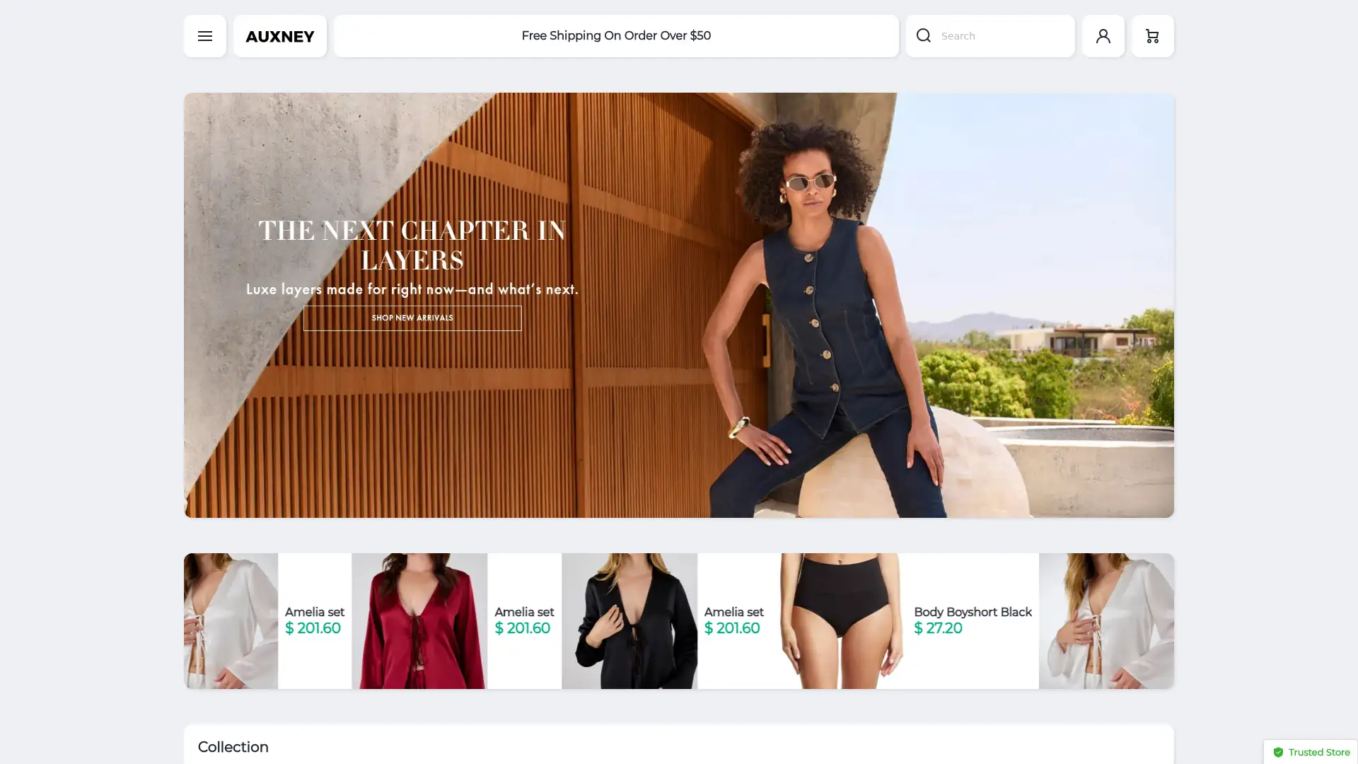 auxney.com screenshot