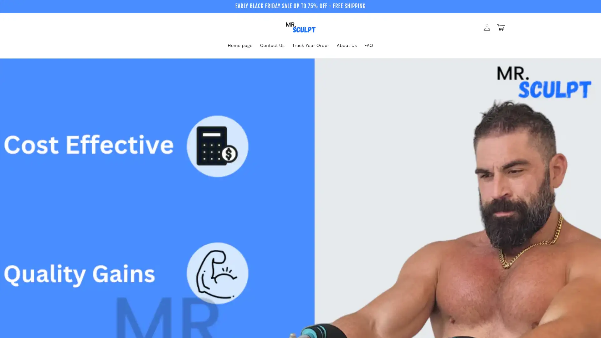 mrsculpt.com screenshot