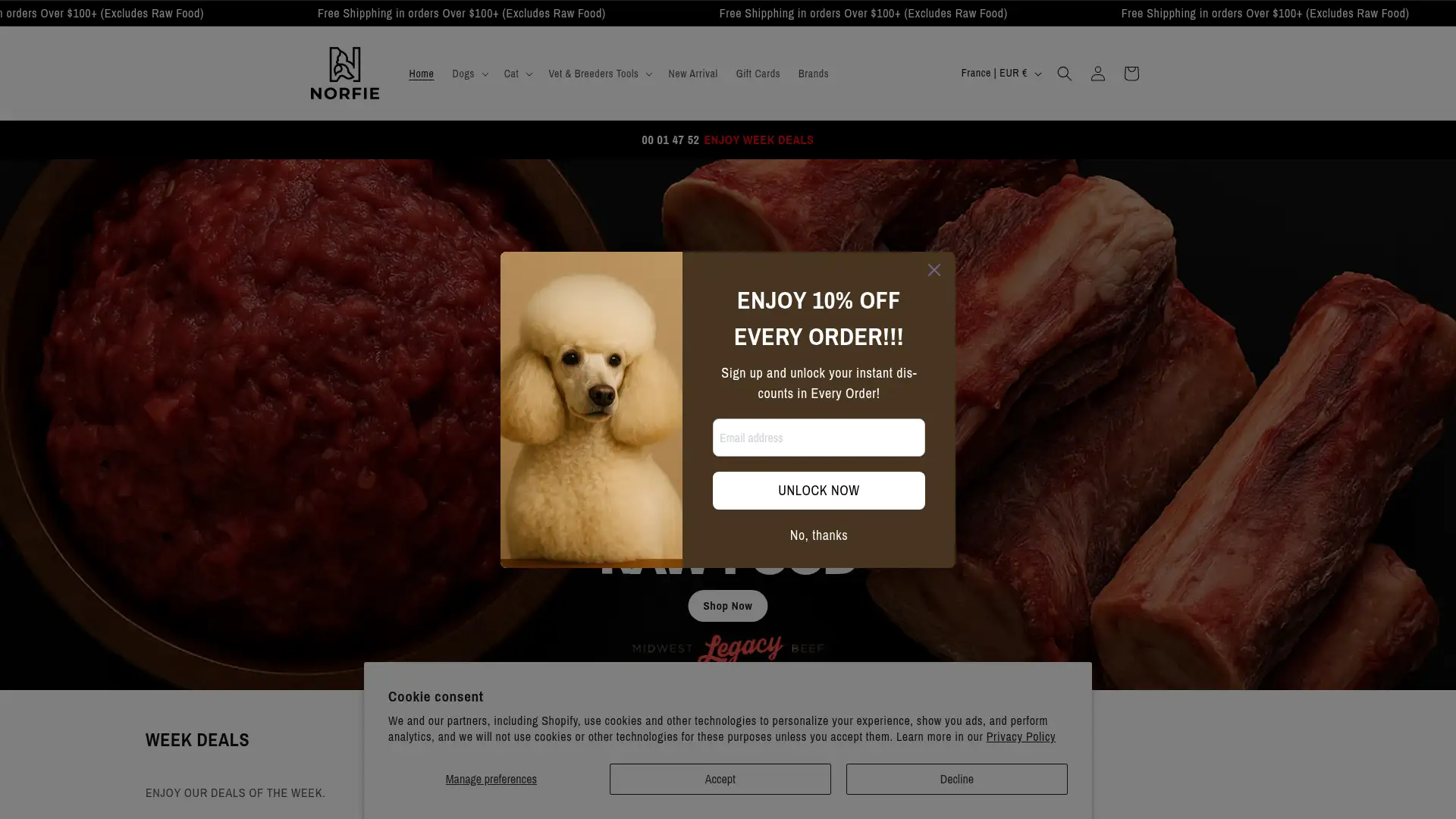 norfie.com screenshot