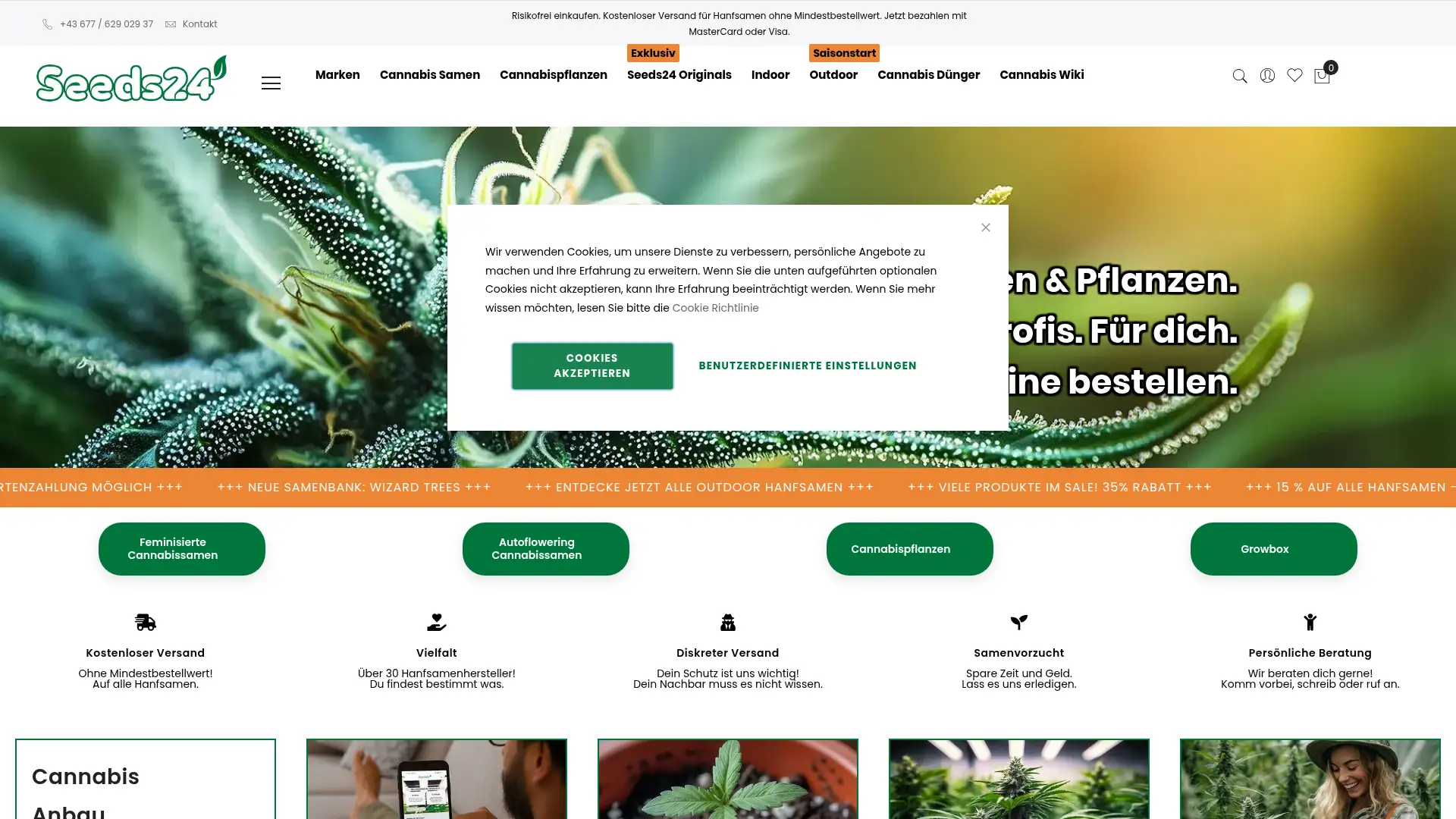 seeds24.at screenshot