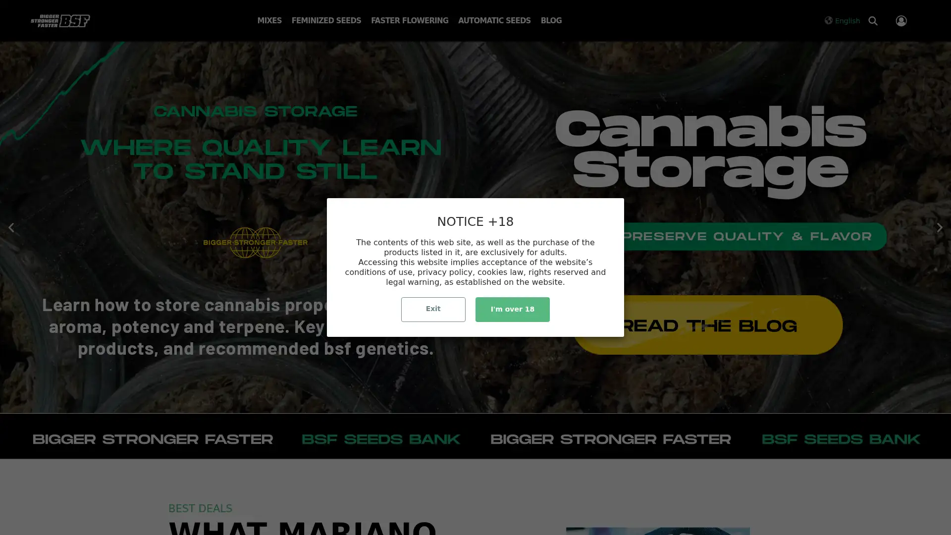bsfseeds.eu screenshot