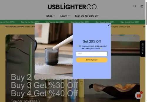 theusblightercompany.com screenshot