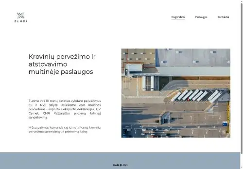 eluxi.lt screenshot