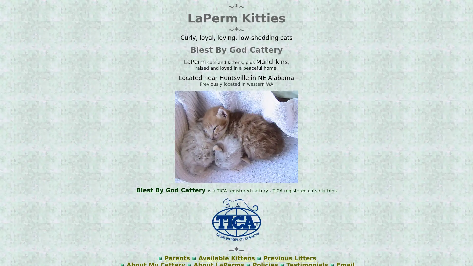 lapermkitties.com screenshot