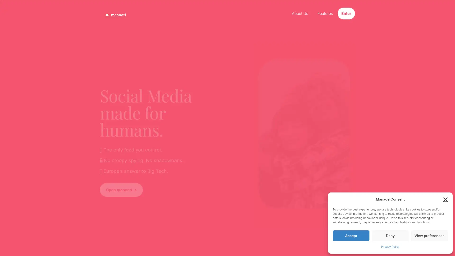 monnett.social screenshot