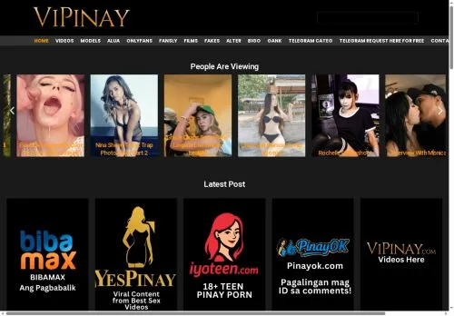 vipinay.cc screenshot