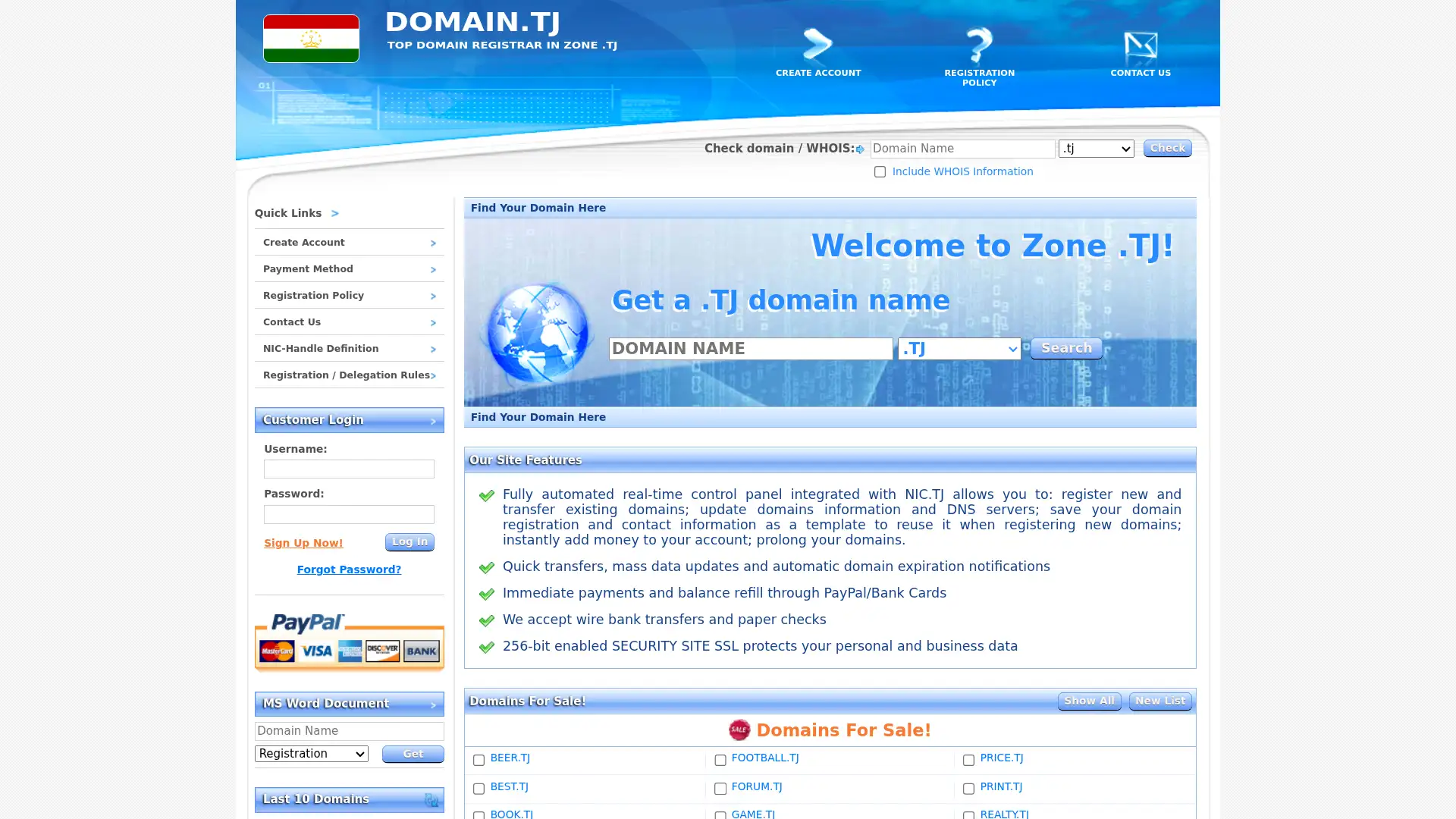 domain.tj screenshot