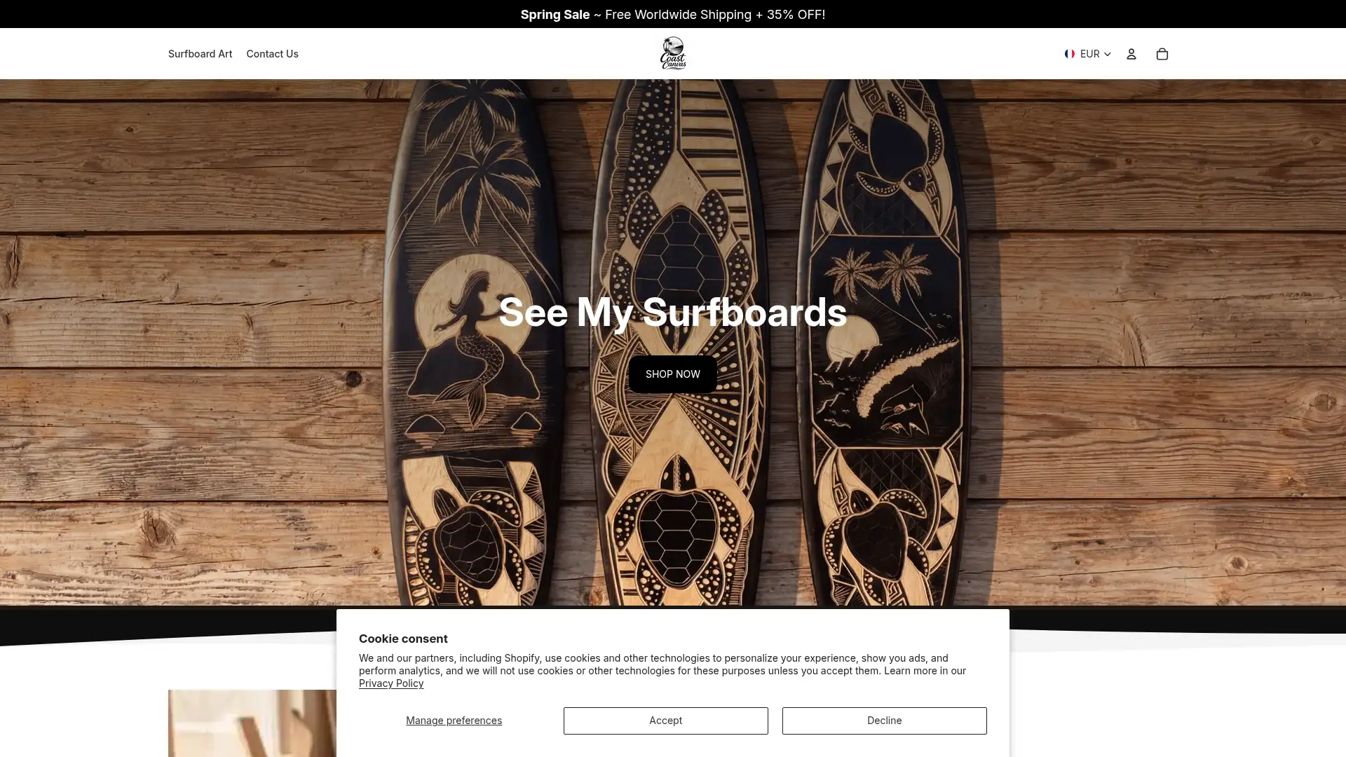 coastcanvas.store screenshot