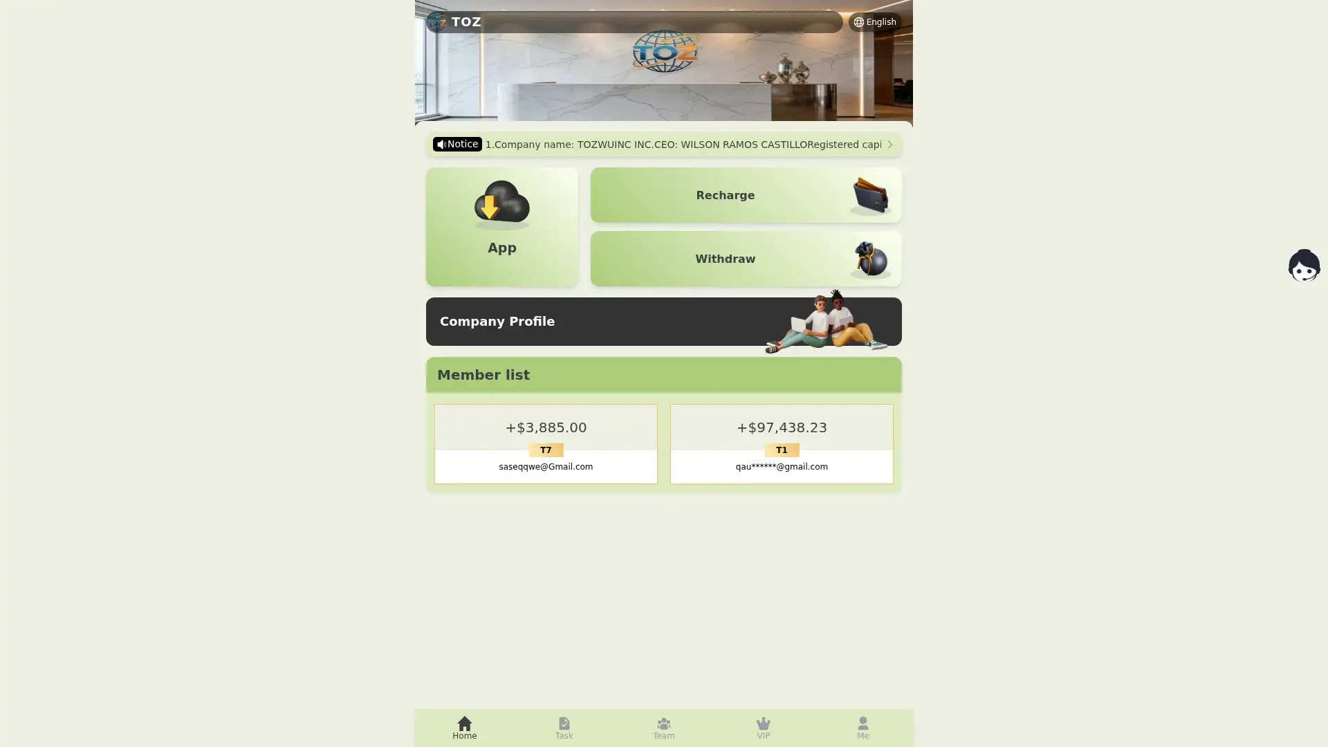 tozwuinc.org screenshot