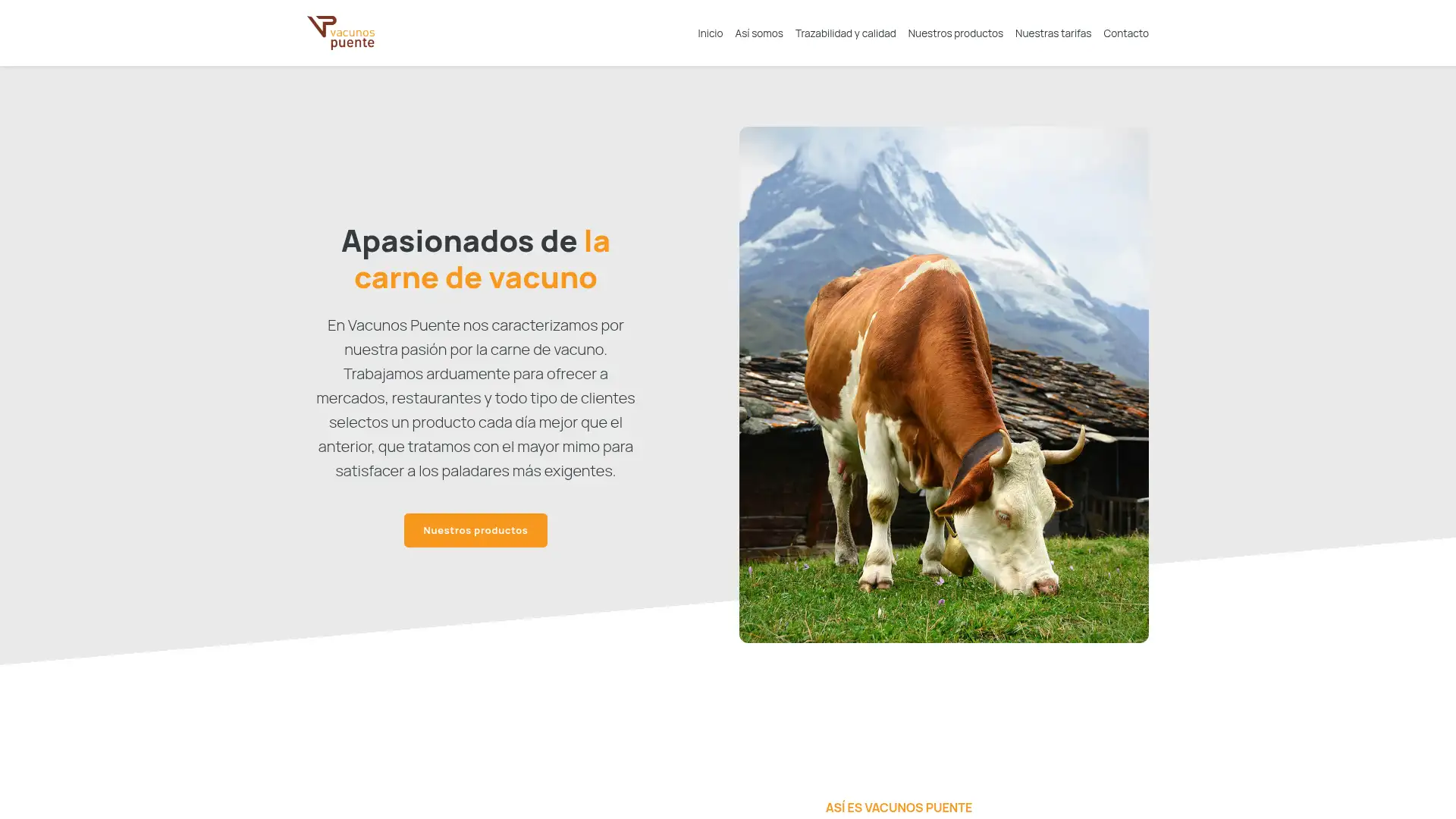 vacunospuente.es screenshot
