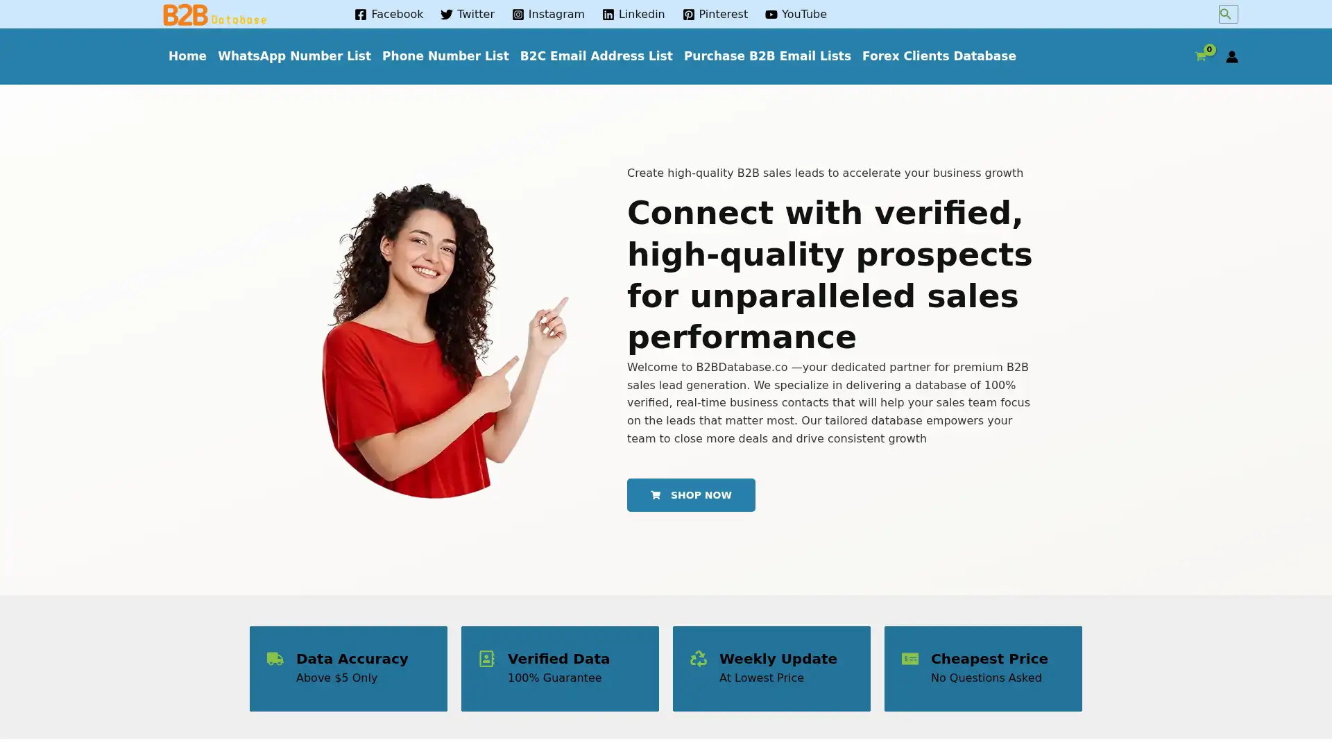 b2bdatabase.co screenshot