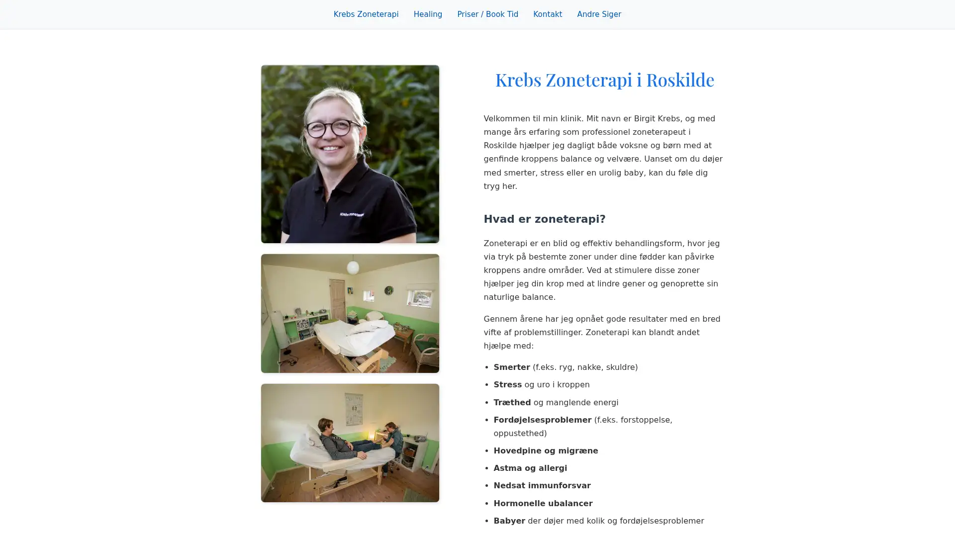 krebszoneterapi.dk screenshot