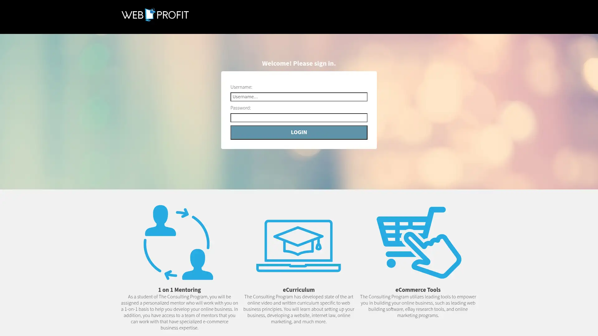 webprofit.website screenshot