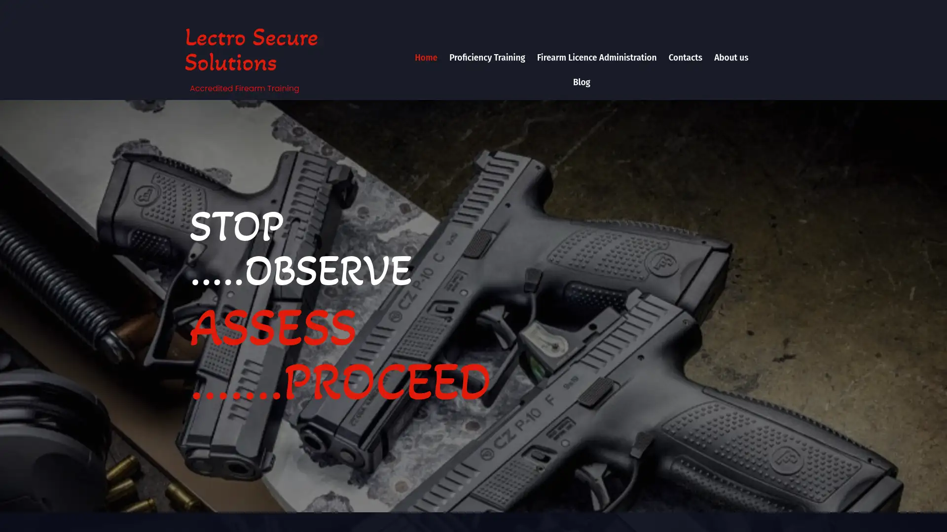 lectrosecure.co.za screenshot