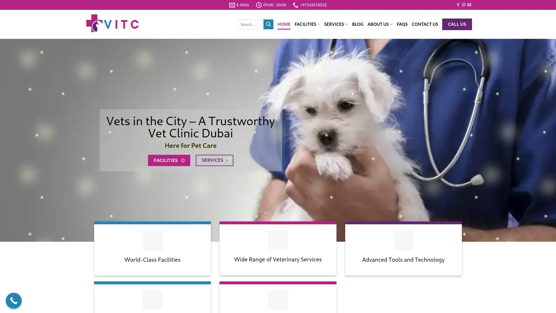 vetsinthecity.me screenshot