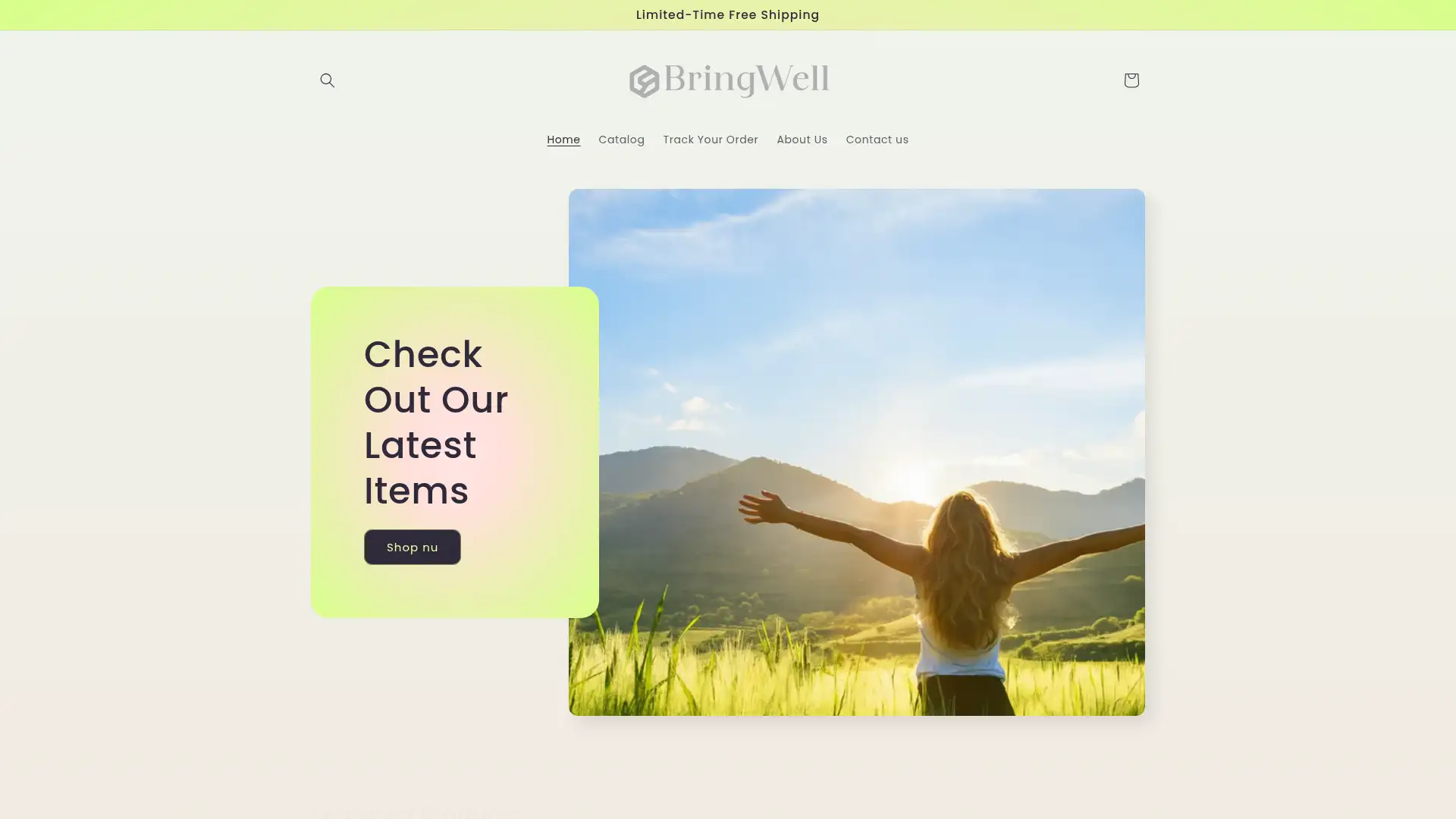 bringwell.co.za screenshot
