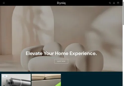 dyniq.store screenshot