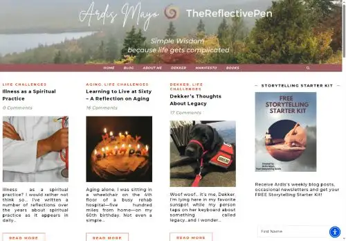 thereflectivepen.com screenshot