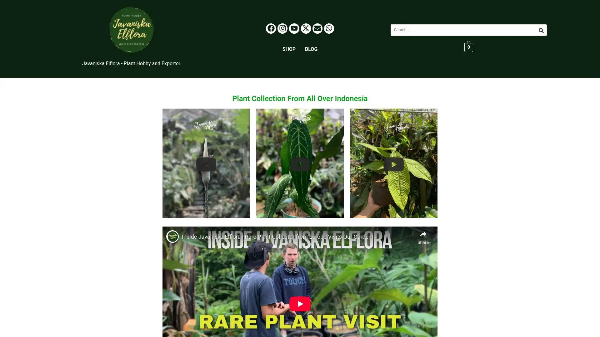 javaniskaelflora.com screenshot