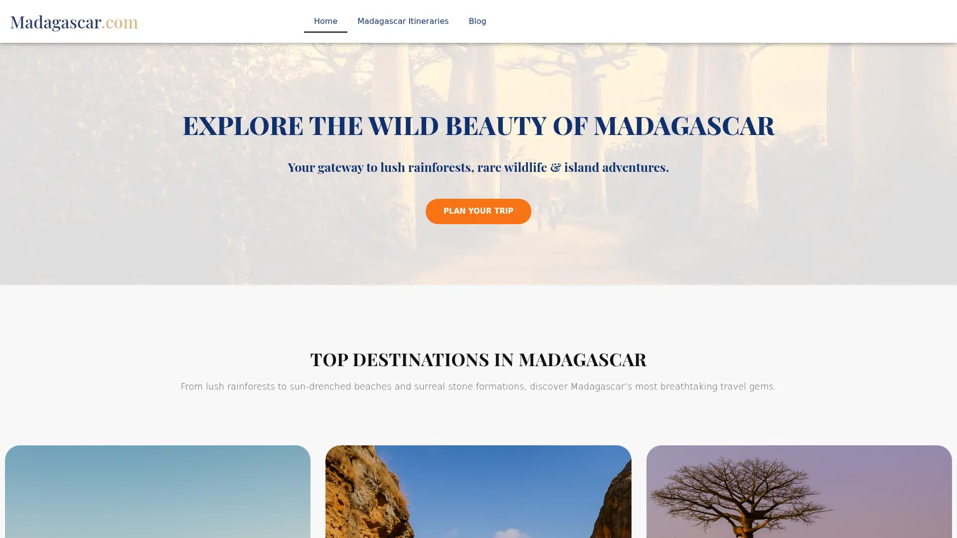madagascar.com screenshot