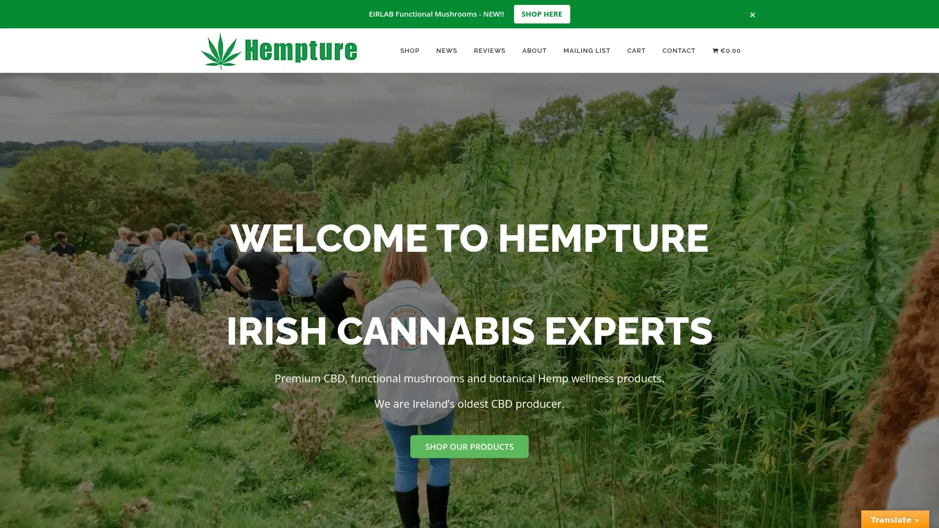 hempture.ie screenshot