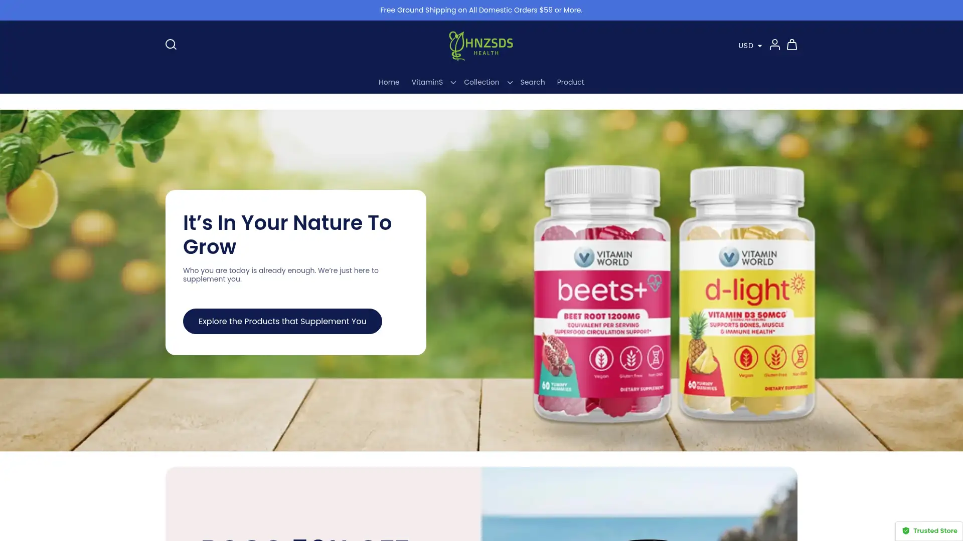 hnzsds.com screenshot