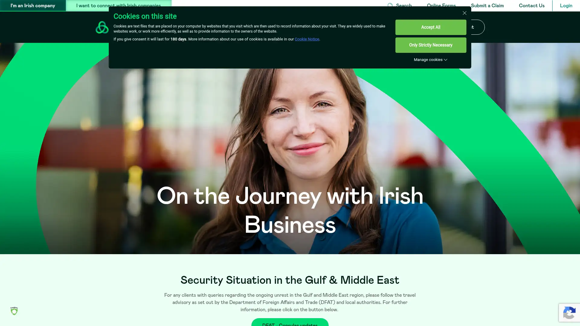 enterprise-ireland.com screenshot