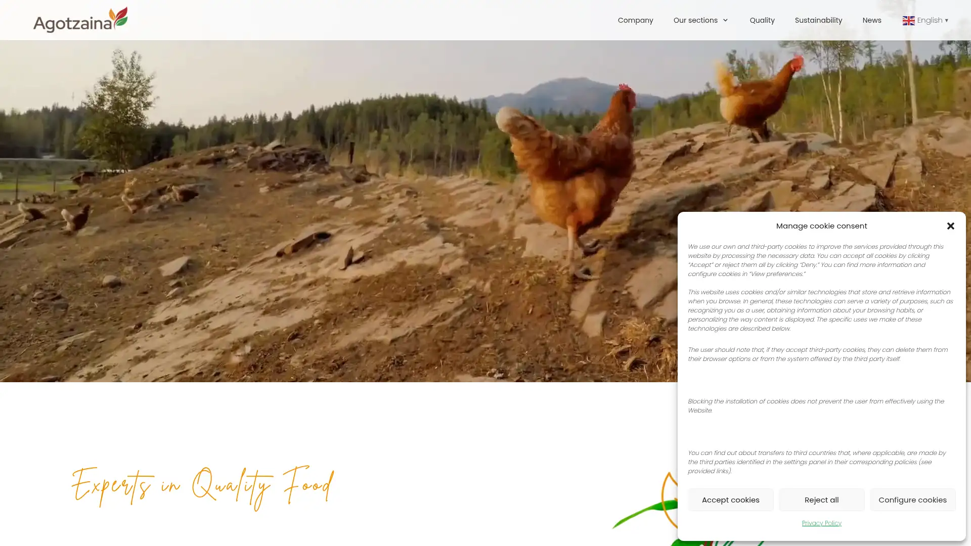 bekoetxe.com screenshot