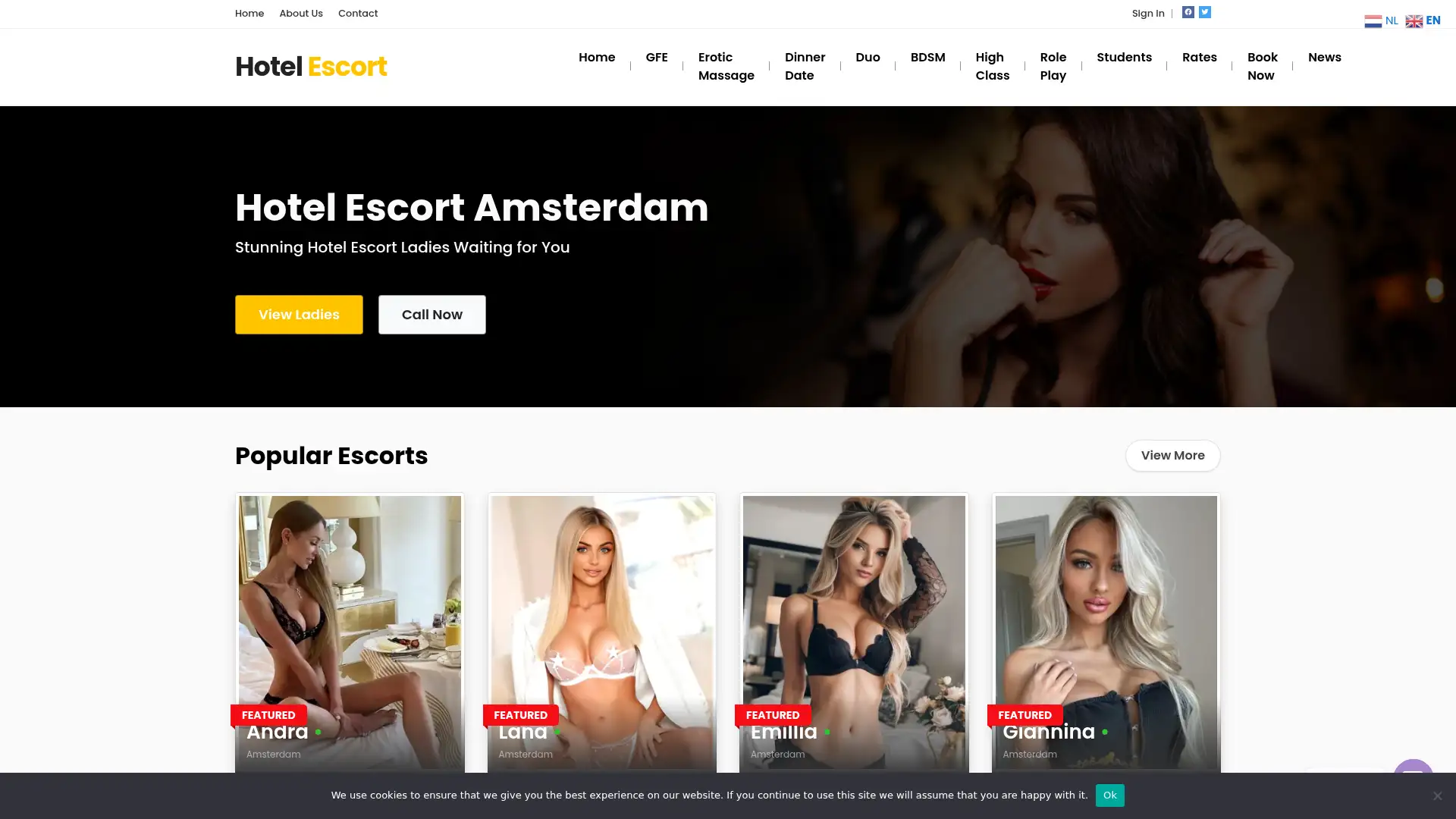 hotelescort.nl screenshot