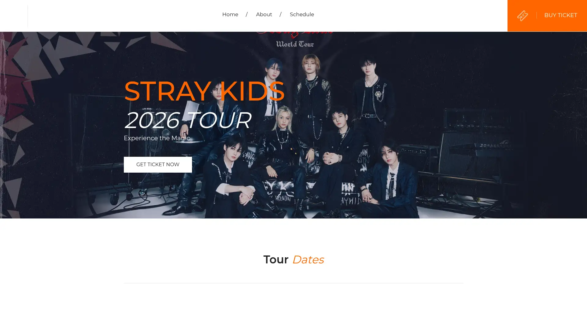 straykidstour.org screenshot