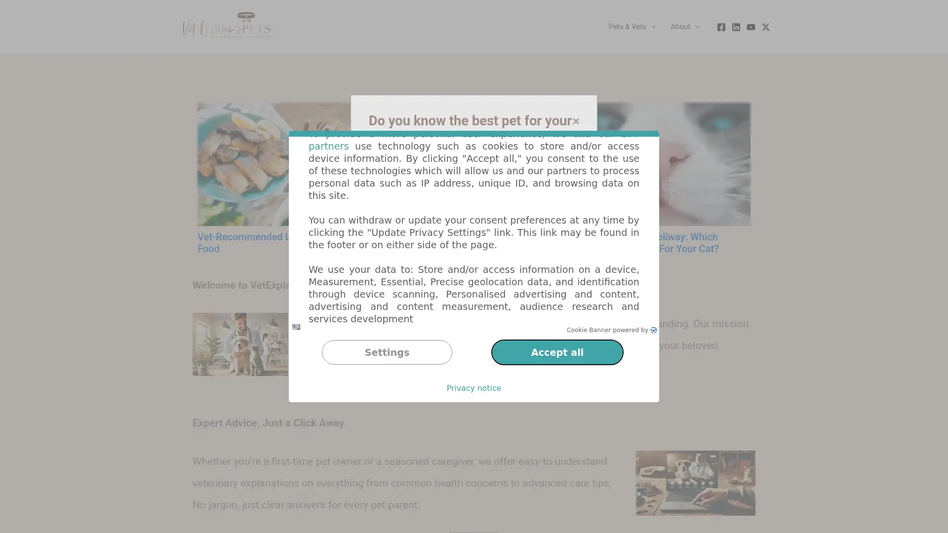 vetexplainspets.com screenshot