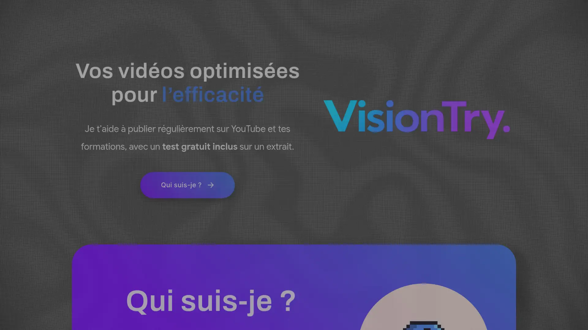 visiontry.fr screenshot
