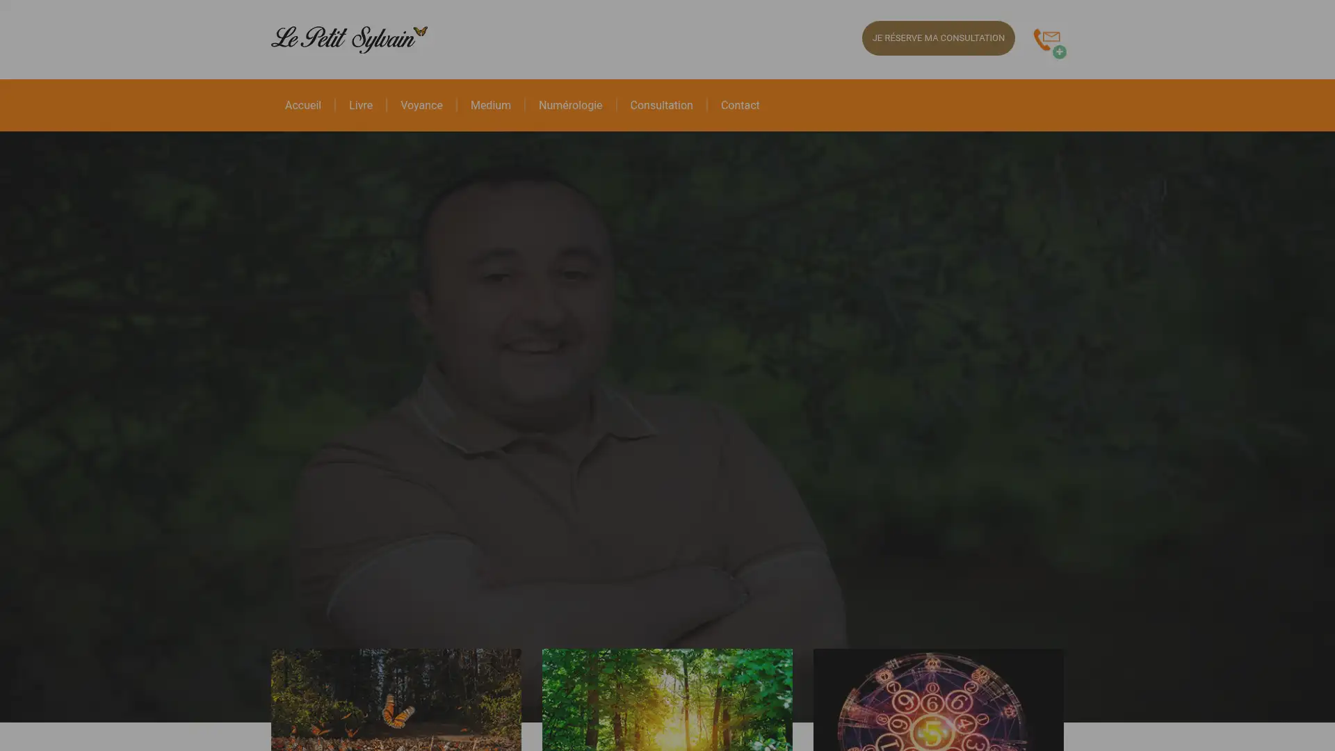 lepetitsylvain.fr screenshot