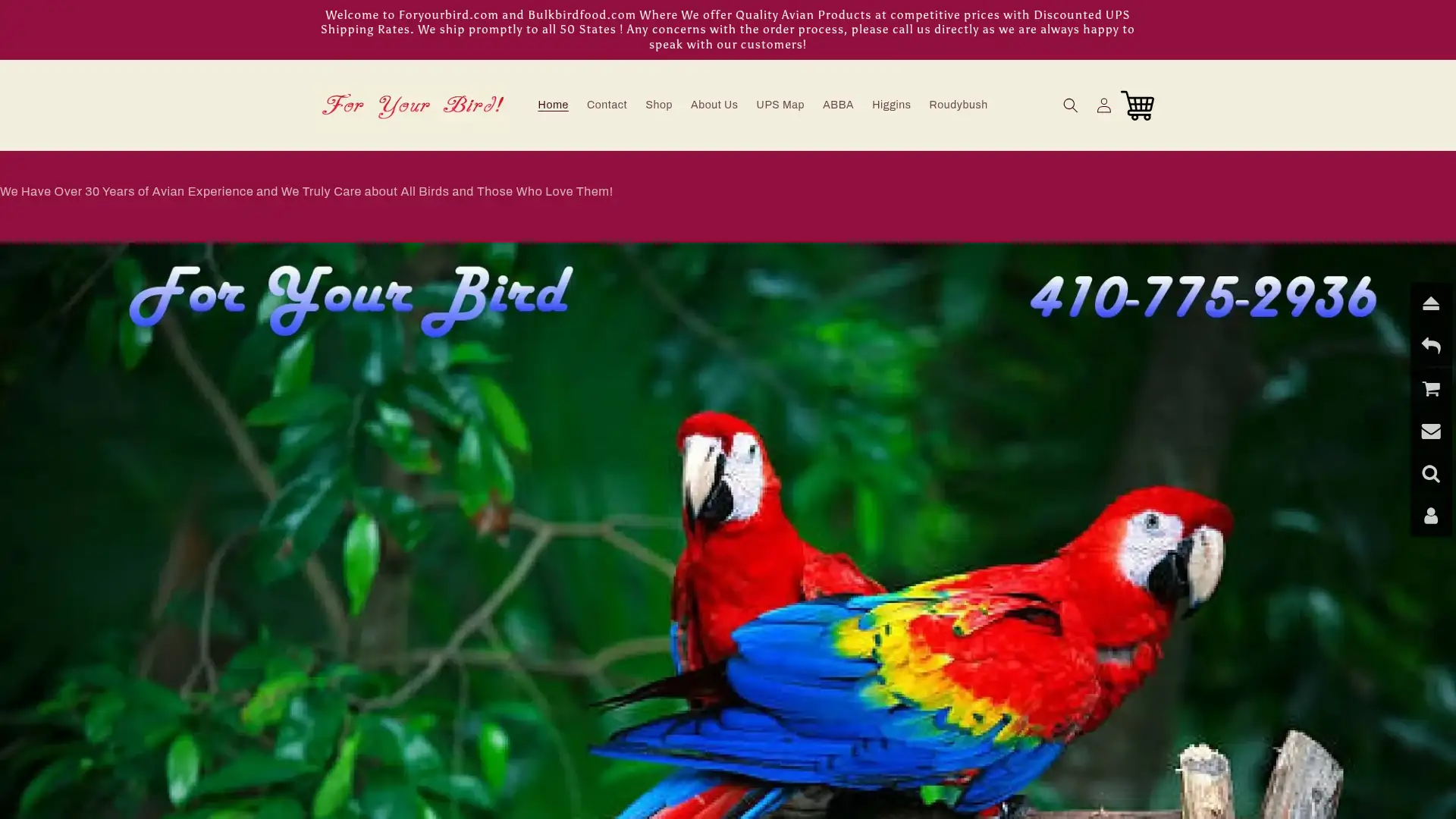 foryourbird.com screenshot