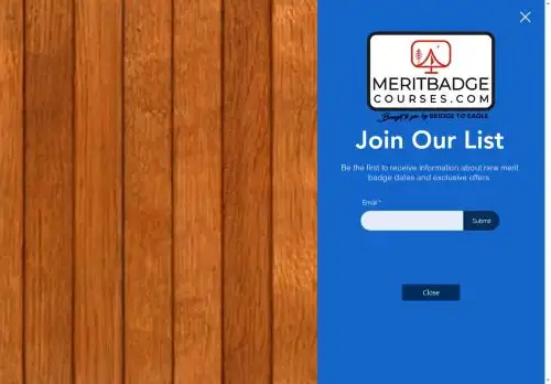 meritbadgecourses.com screenshot