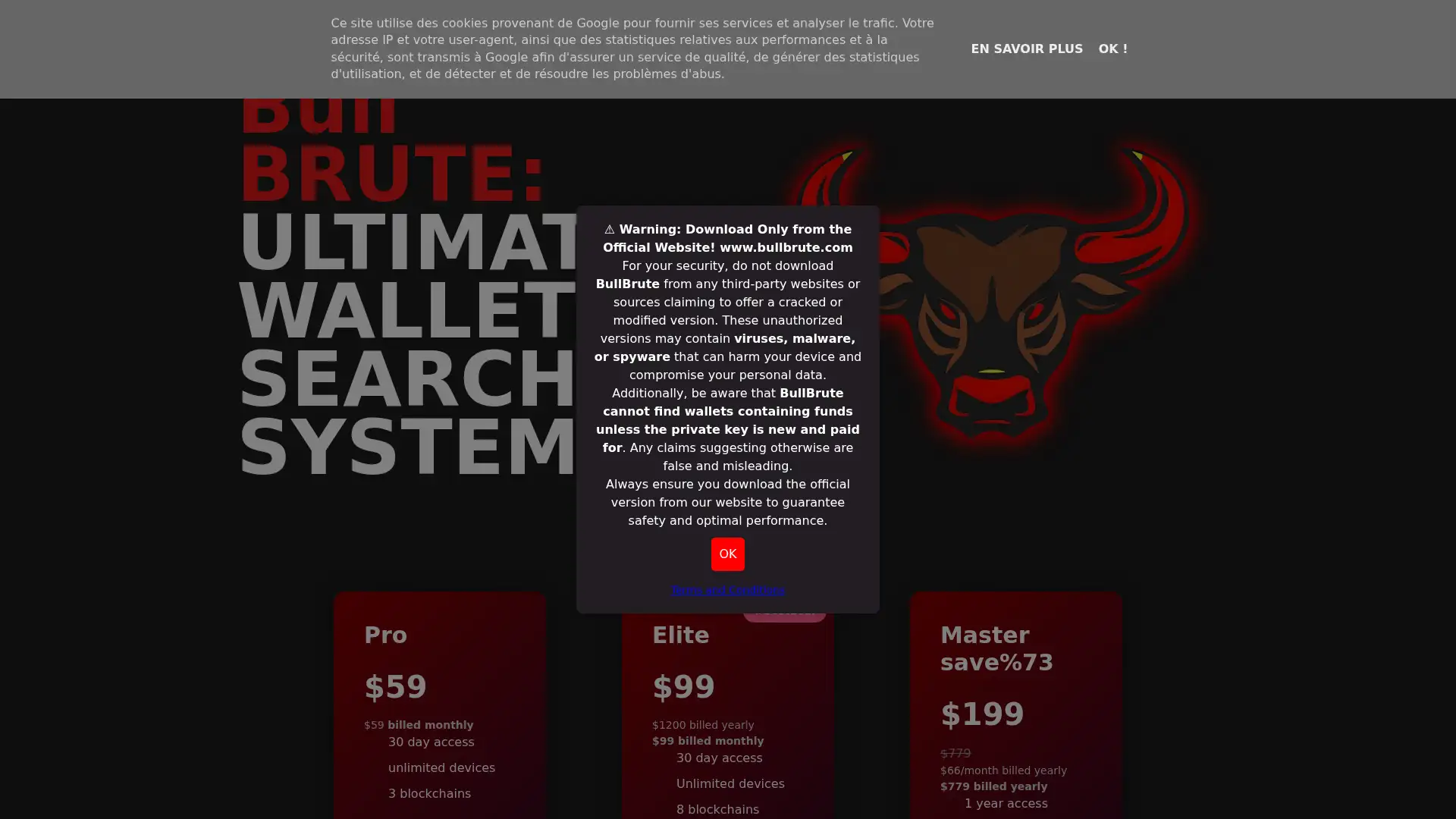 bullbrute.com screenshot