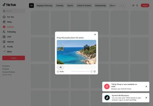 tiktok.com screenshot