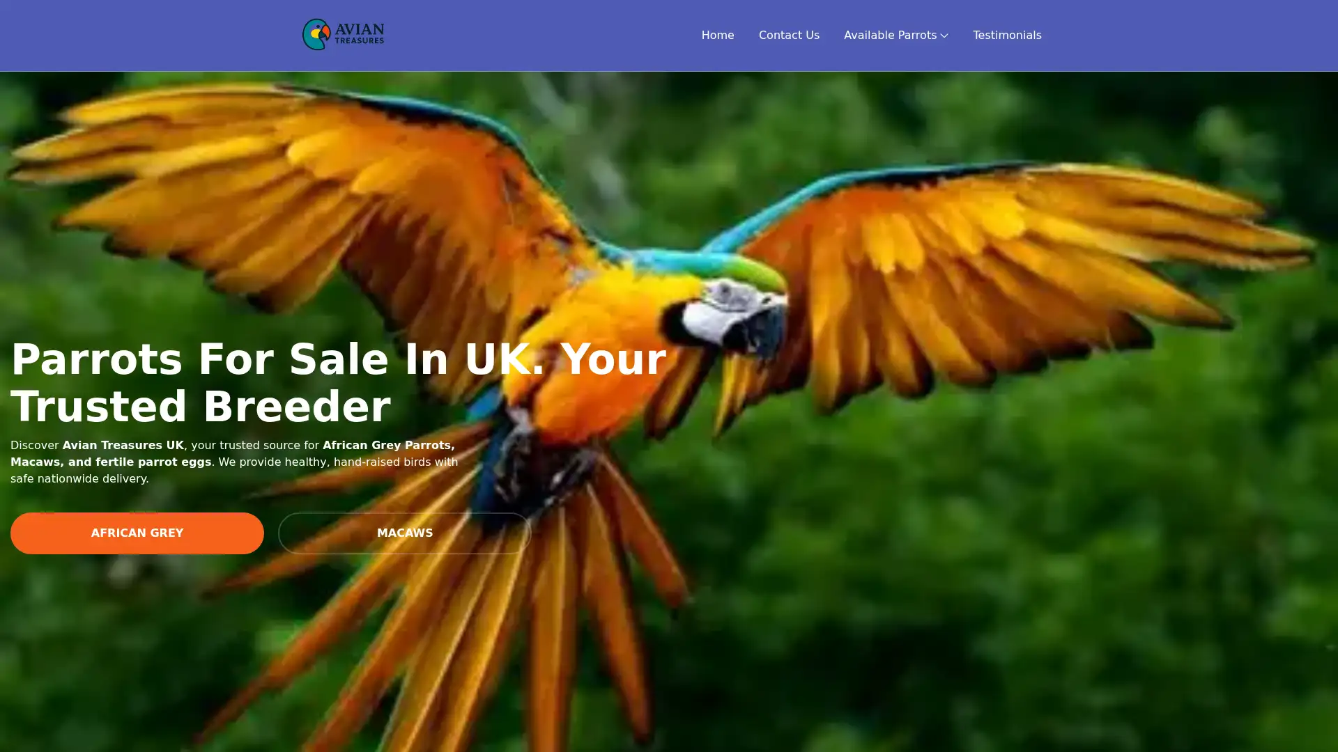 aviantreasures.co.uk screenshot
