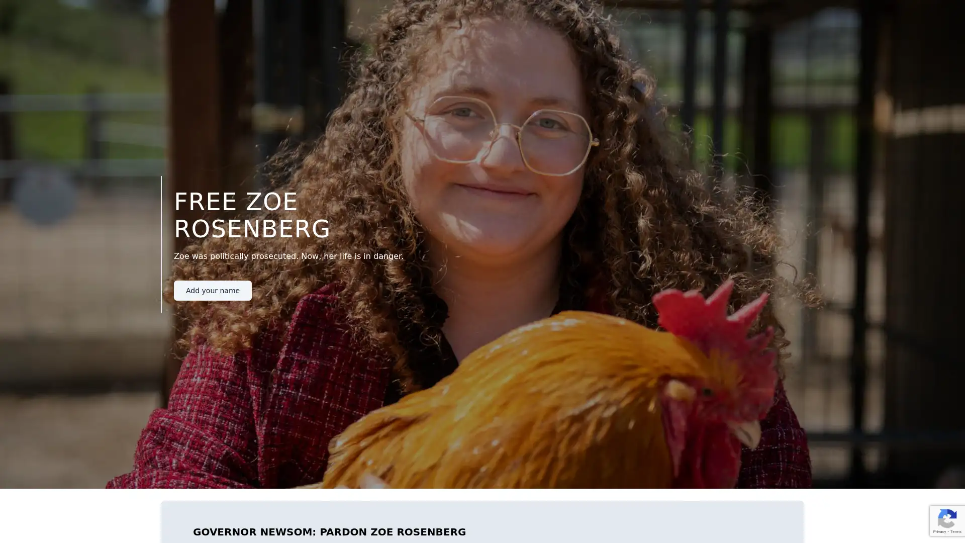 freezoe.org screenshot