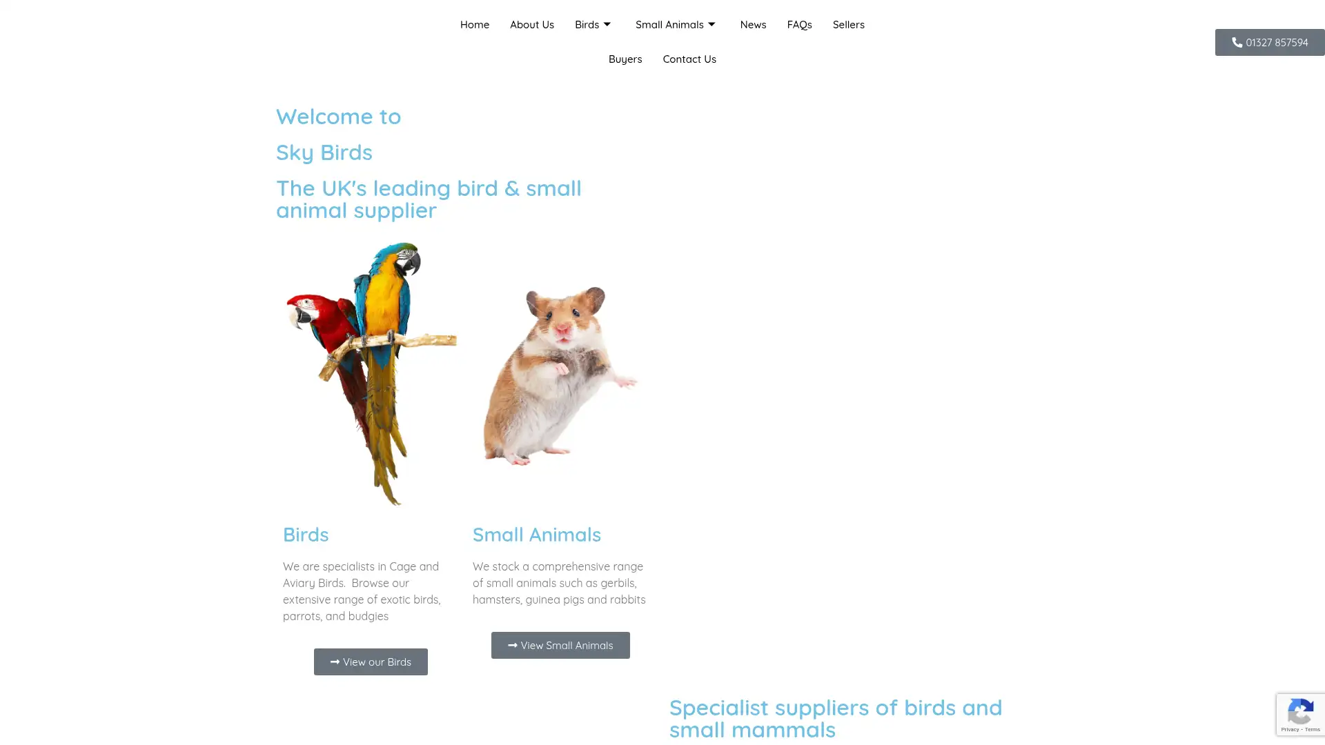 skybirds.co.uk screenshot